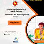 Office Assistant cum Computer Typist